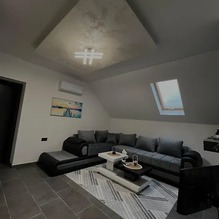 Crassula Lux Surčin