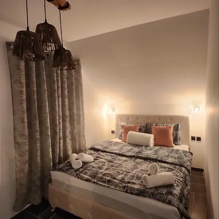 Crassula Lux Surčin